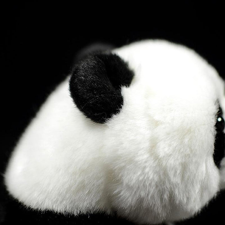 Panda Plush Bear Design